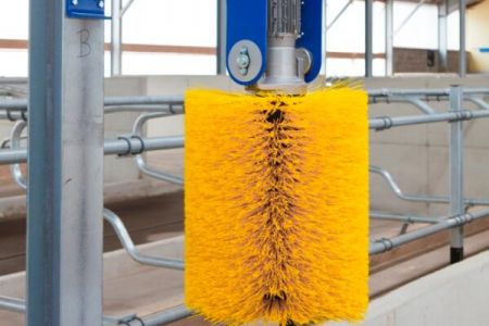 選傲群牛體刷廠家定制,為奶牛健康與養(yǎng)殖效益雙重賦能 選傲群牛體刷廠家定制,為奶牛健康與養(yǎng)殖效益雙重賦能