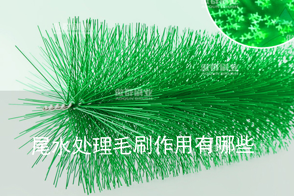 尾水處理毛刷作用有哪些